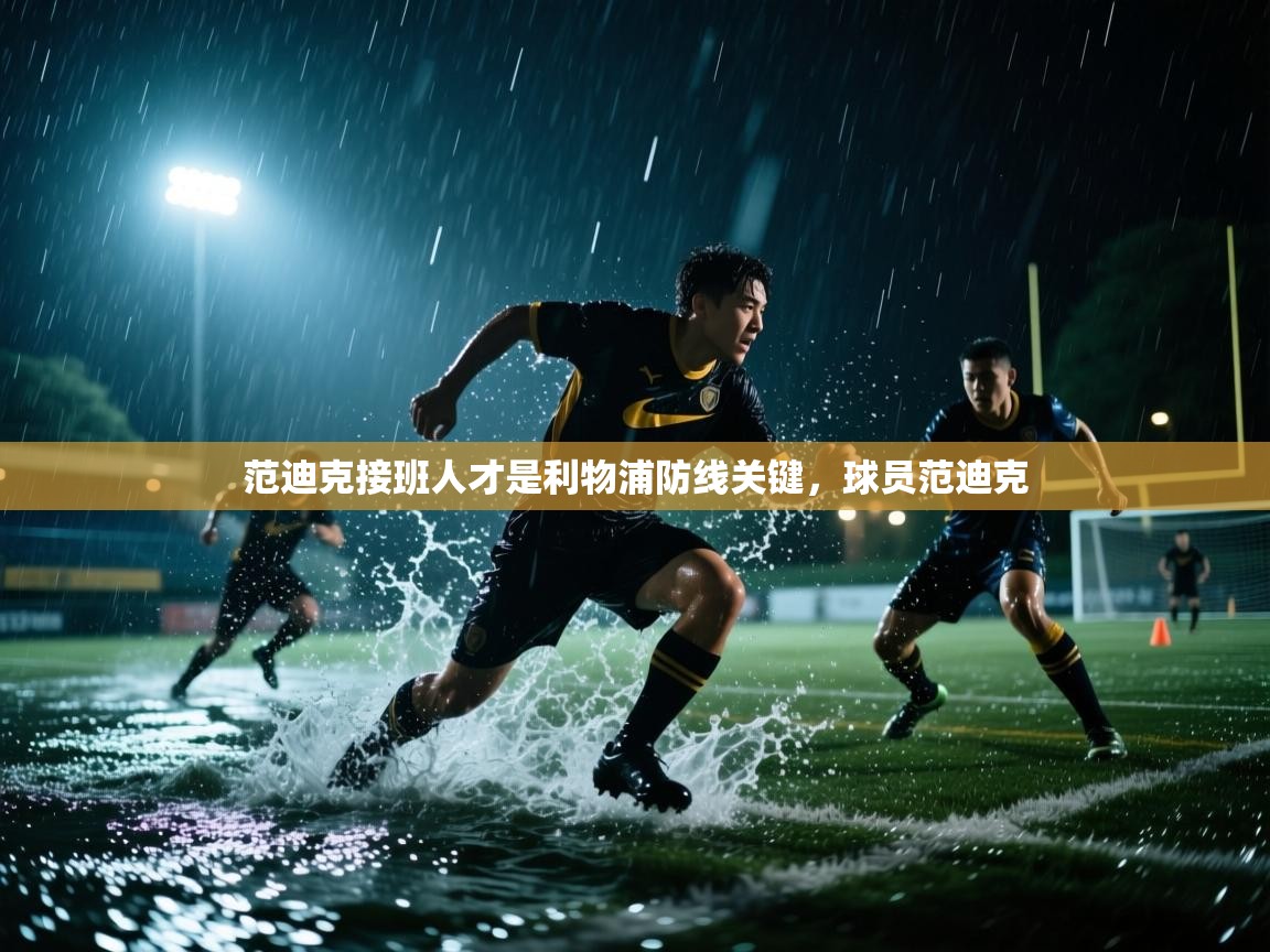 开云入口-范迪克接班人才是利物浦防线关键，球员范迪克  第3张