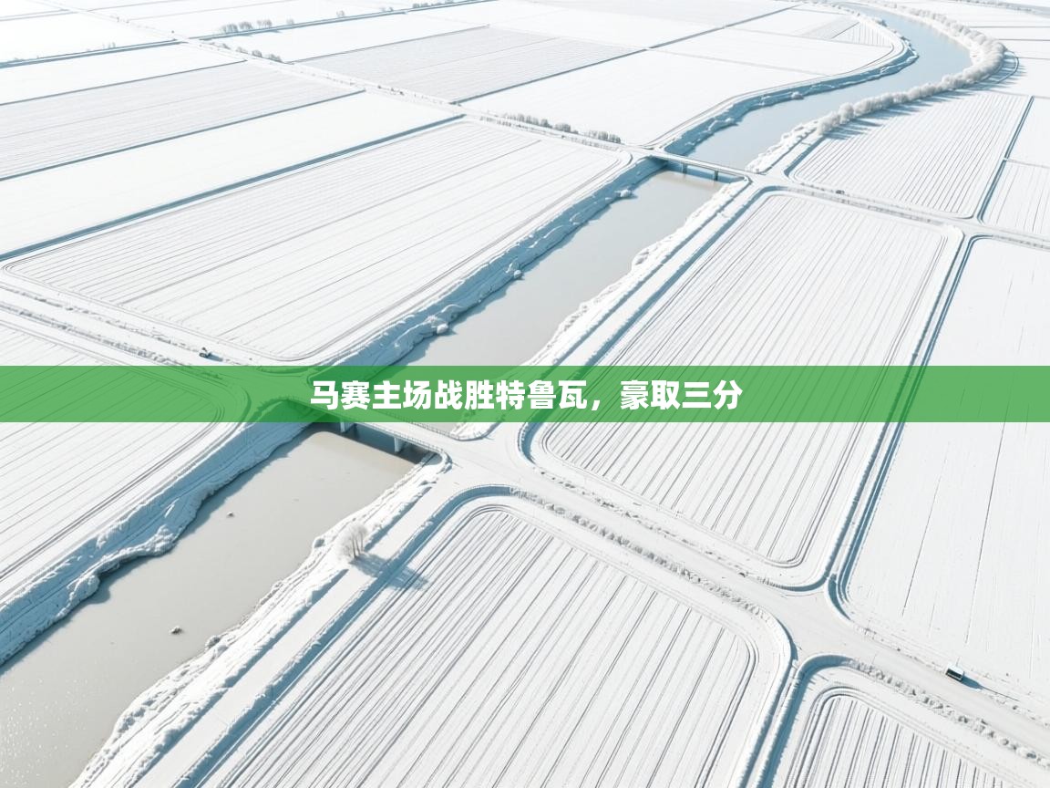 开云注册-马赛主场战胜特鲁瓦,豪取三分 第2张