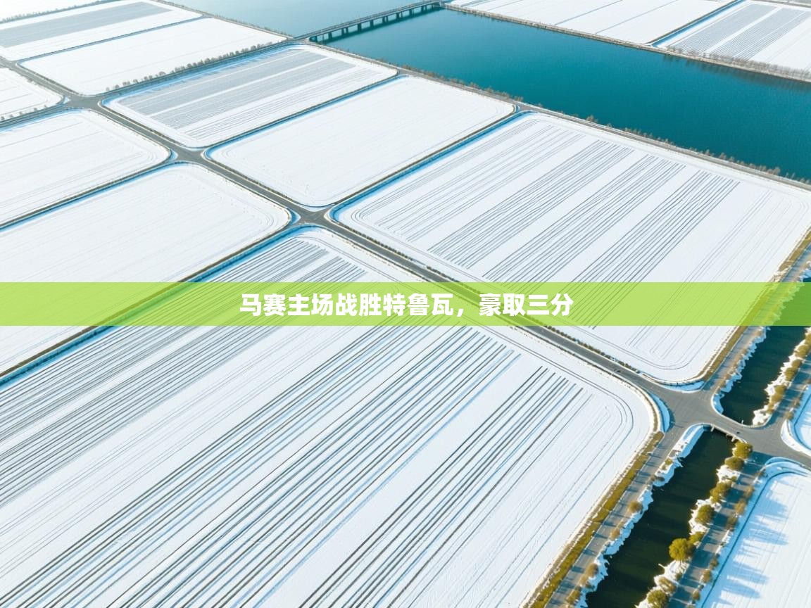 开云注册-马赛主场战胜特鲁瓦,豪取三分 第1张