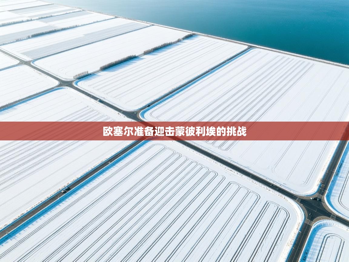 开云体育app评价-欧塞尔准备迎击蒙彼利埃的挑战 第2张