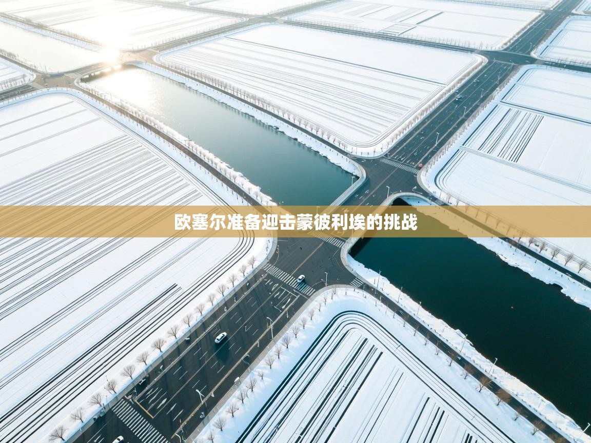 开云体育app评价-欧塞尔准备迎击蒙彼利埃的挑战 第3张