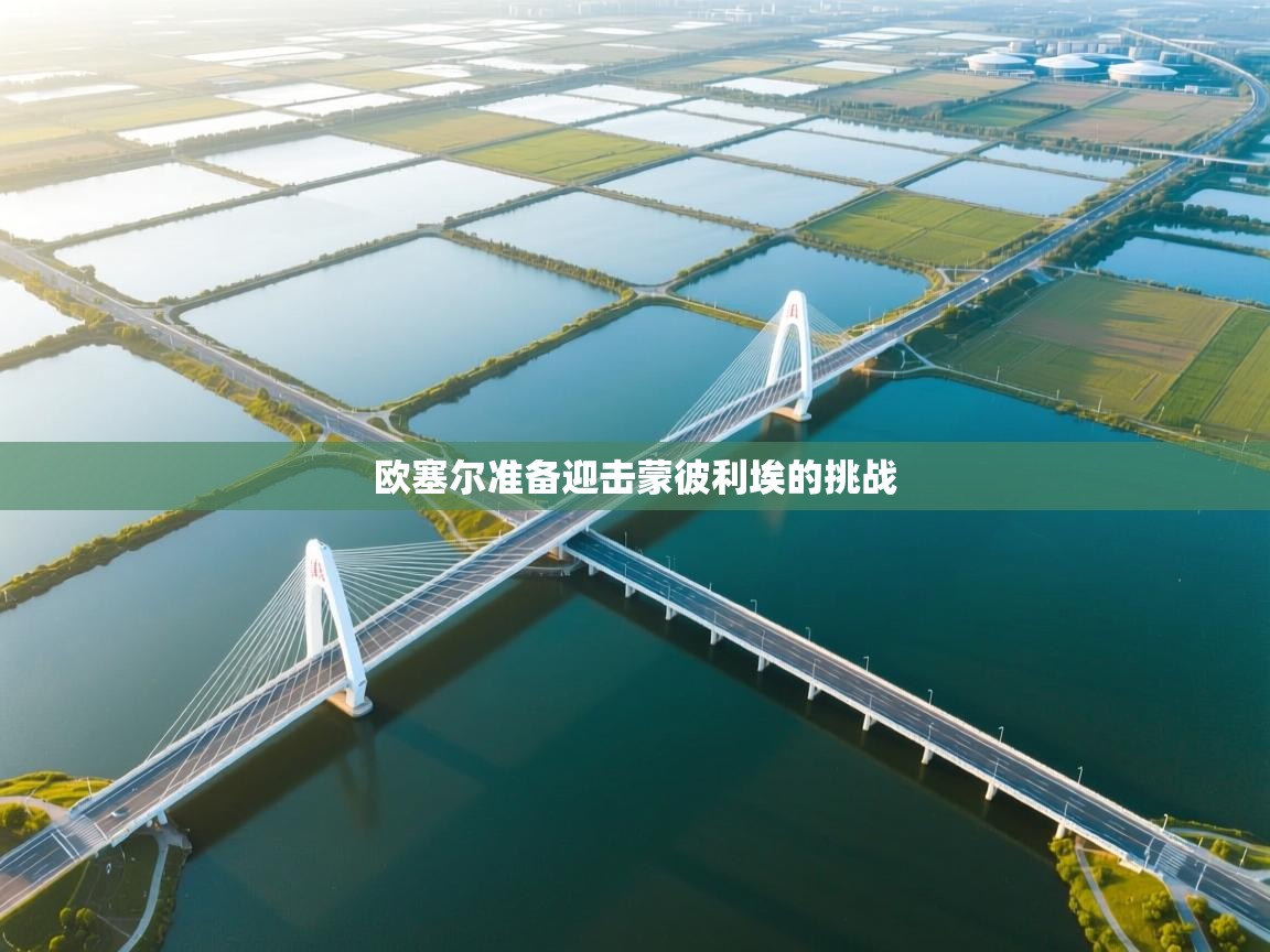 开云体育app评价-欧塞尔准备迎击蒙彼利埃的挑战 第4张