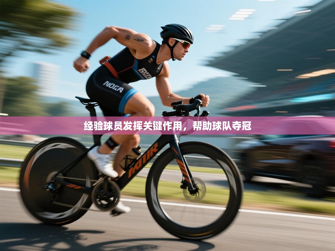 开云体育在线网址-经验球员发挥关键作用，帮助球队夺冠  第1张
