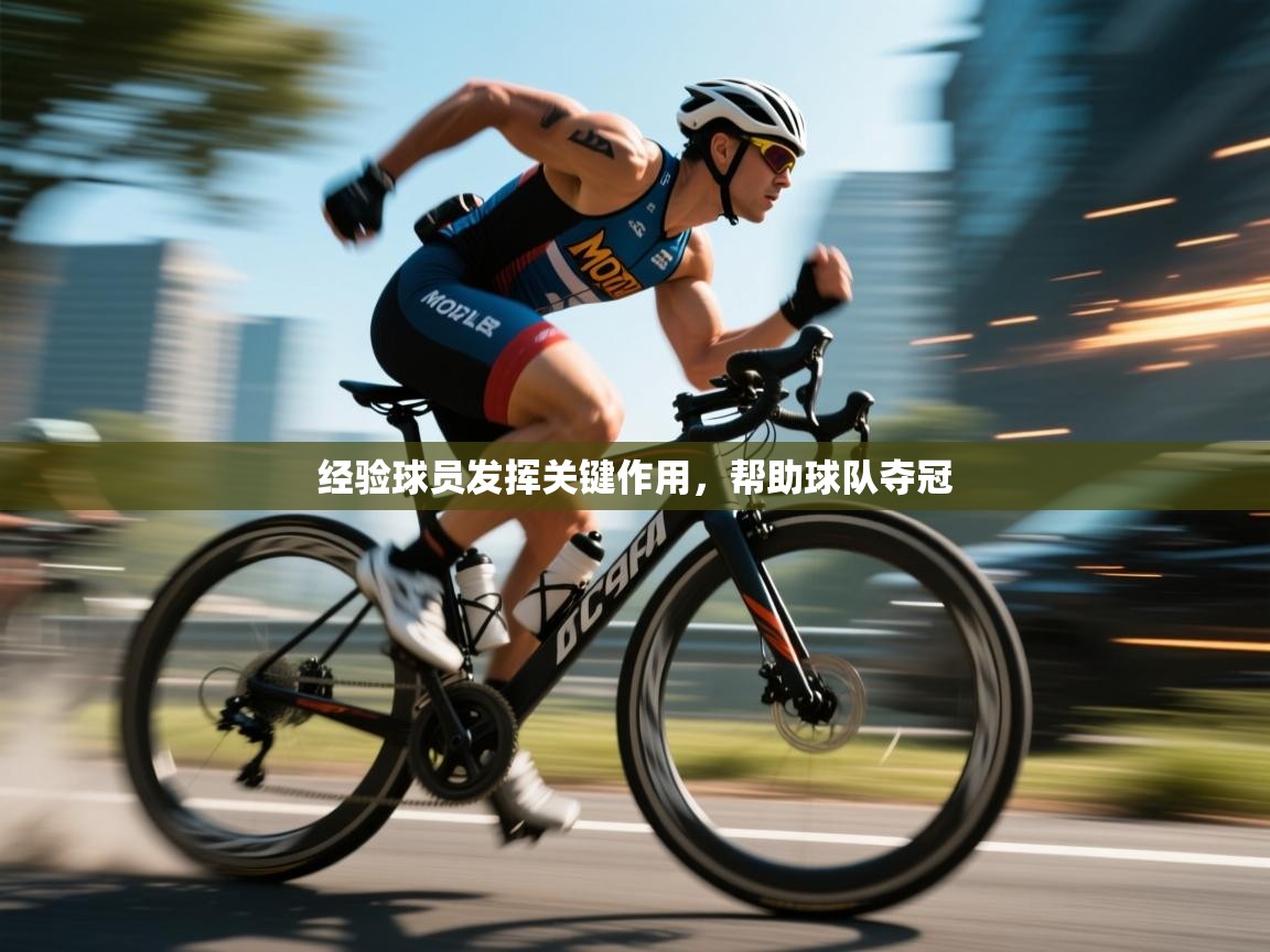 开云体育在线网址-经验球员发挥关键作用，帮助球队夺冠  第2张