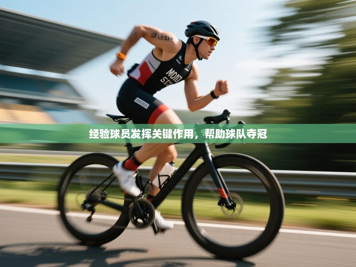 开云体育在线网址-经验球员发挥关键作用，帮助球队夺冠  第3张