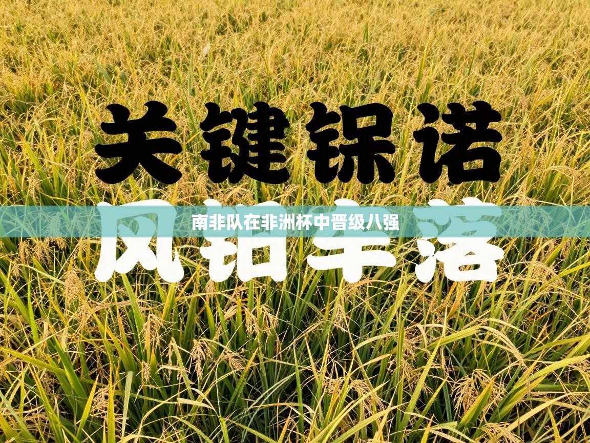 开云体育数据中心统计-南非队在非洲杯中晋级八强  第2张