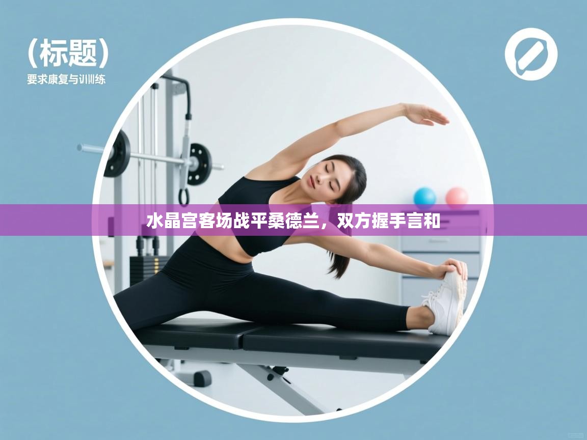 开云体育下载-水晶宫客场战平桑德兰，双方握手言和  第1张