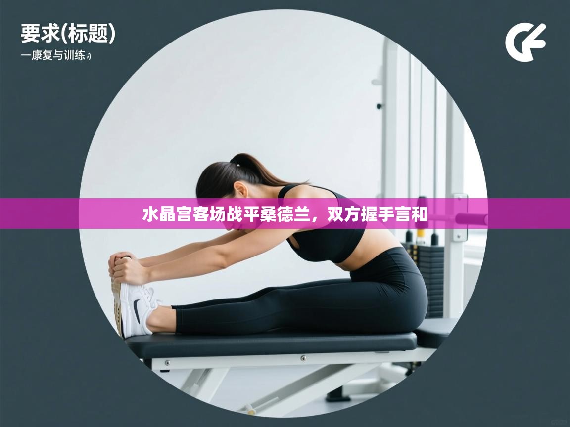 开云体育下载-水晶宫客场战平桑德兰，双方握手言和  第2张