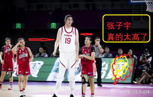 新西兰女篮斩获佳绩，实力备受赞誉